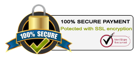 100% Secure Payment